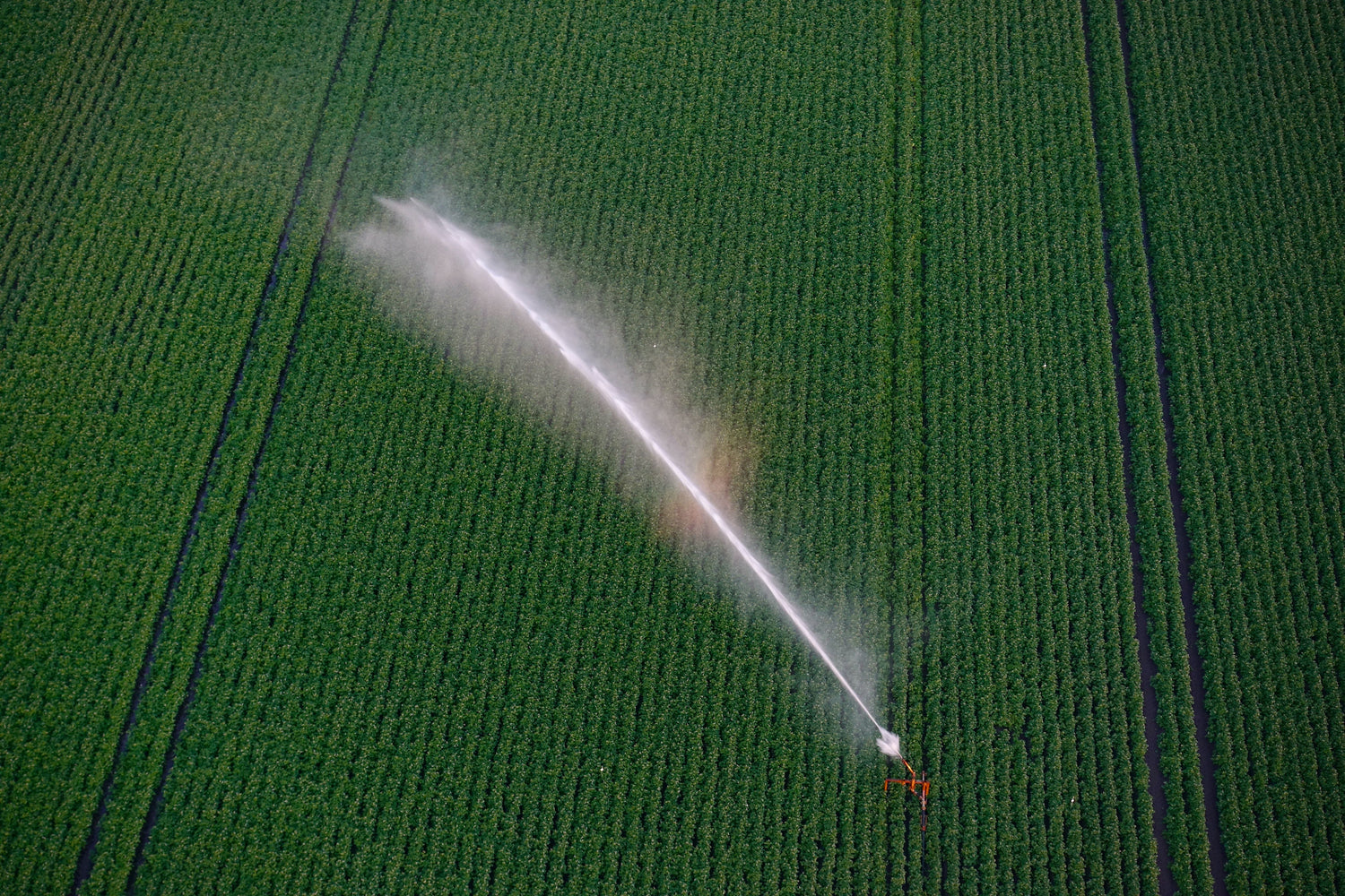 Landwirtschaftliche Bewässerung