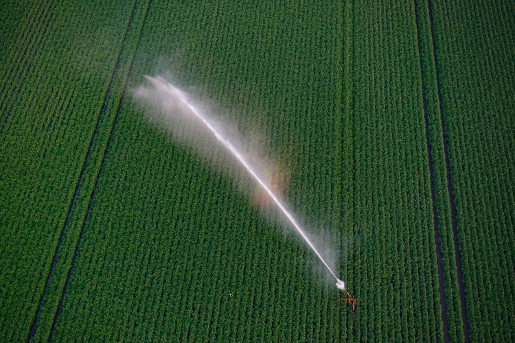 Landwirtschaftliche Bewässerung