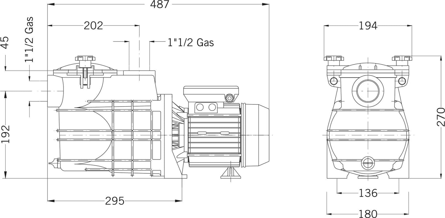 PSH Mini 100T Schwimmbadpumpe Polypropylen 1 1/2" Innengewinde 1,9A 400VAC Schwarz