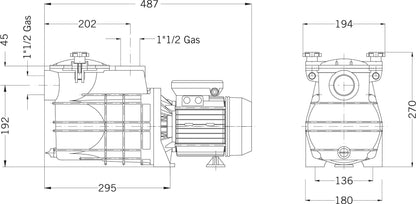 PSH Mini 100T Schwimmbadpumpe Polypropylen 1 1/2" Innengewinde 1,9A 400VAC Schwarz