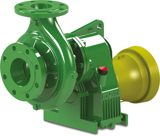 Rovatti T2-80 Kreiselpumpe Gusseisen DN65 x DN100 DIN Flansch Grün