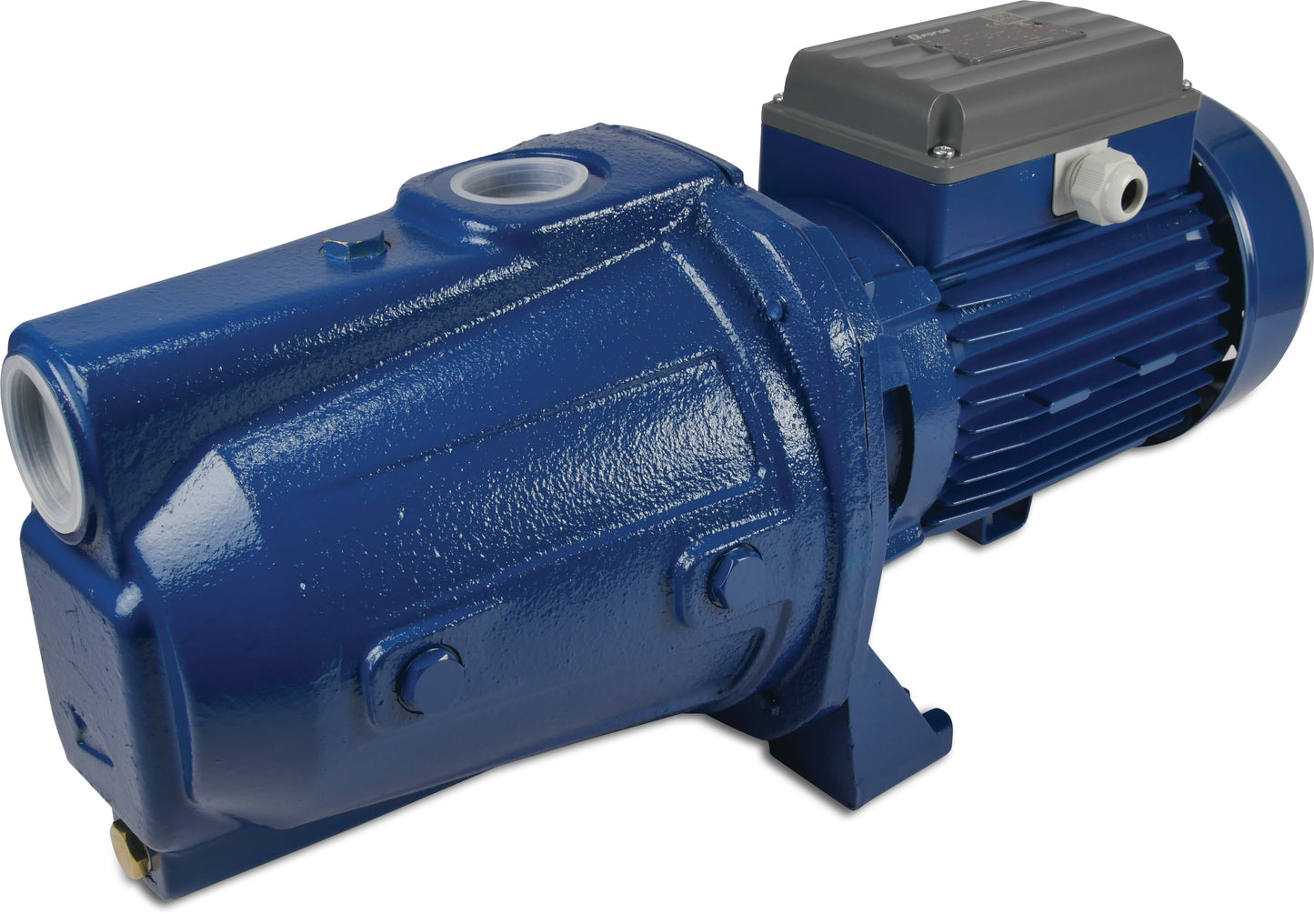 Foras JAM 200 Kreiselpumpe Gusseisen 1 1/2" x 1 1/4" Innengewinde 8bar 9,8A 230VAC Blau selbstansaugend