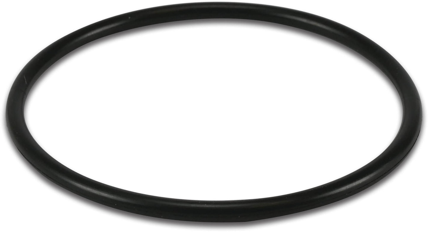 O-Ring für Diffusor SPV 150
