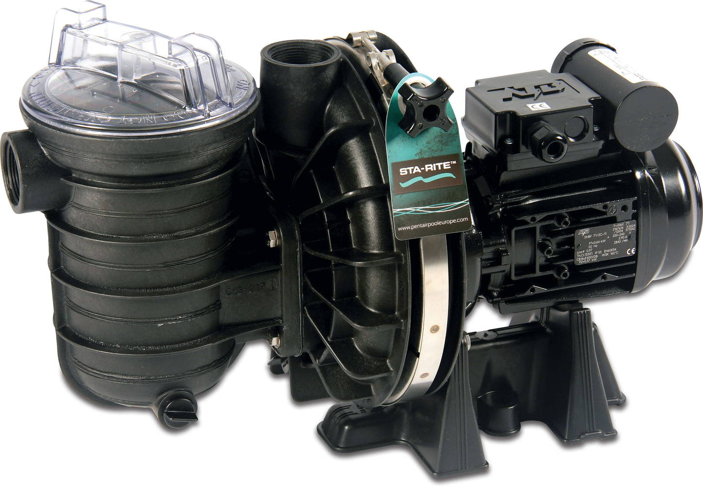 Sta-Rite Schwimmbadpumpe 1 1/2" Innengewinde 230VAC Schwarz Typ P-STR-071 0,75PS