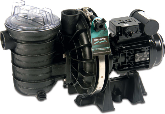 Sta-Rite Schwimmbadpumpe 1 1/2" Innengewinde 230VAC Schwarz Typ P-STR-071 0,75PS