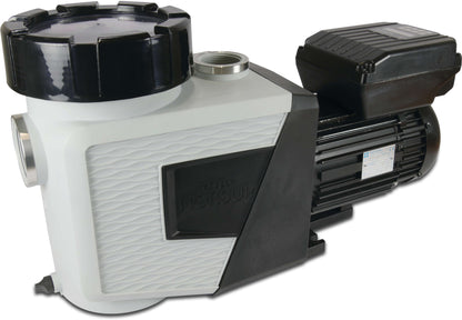 Norsup Evo Pro with Modbus Poolpumpe mit variabler Drehzahl 2" x 1 1/2" Innengewinde 230VAC Weiß/BSchwarz 1,5PS