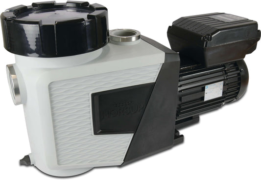 Norsup Evo Pro with Modbus Poolpumpe mit variabler Drehzahl 2" x 1 1/2" Innengewinde 230VAC Weiß/BSchwarz 1,5PS