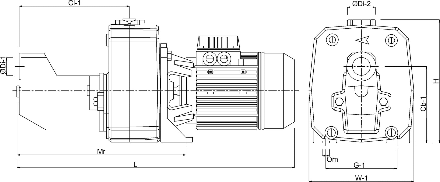 DAB JET 151 M Kreiselpumpe Gusseisen 1 1/4" x 1" Innengewinde 6bar 7,2A Grün selbstansaugend