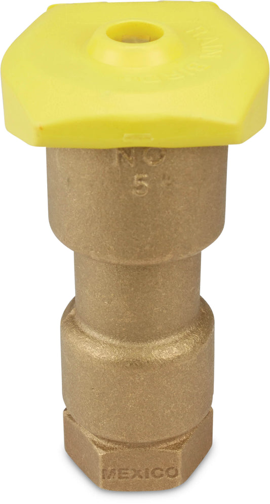 Rain Bird 5LRC Schnellkupplungsventil Messing 1" Innengewinde 8,63bar