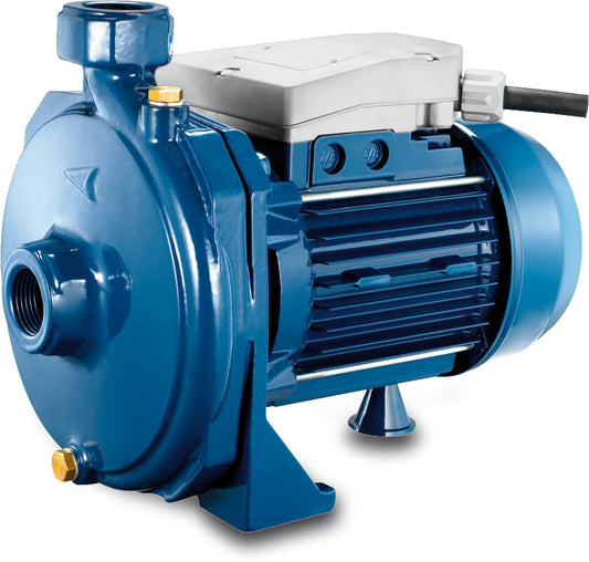 Foras Kreiselpumpe Gusseisen 1 1/4" x 1" Innengewinde 8bar 8,5A Blau