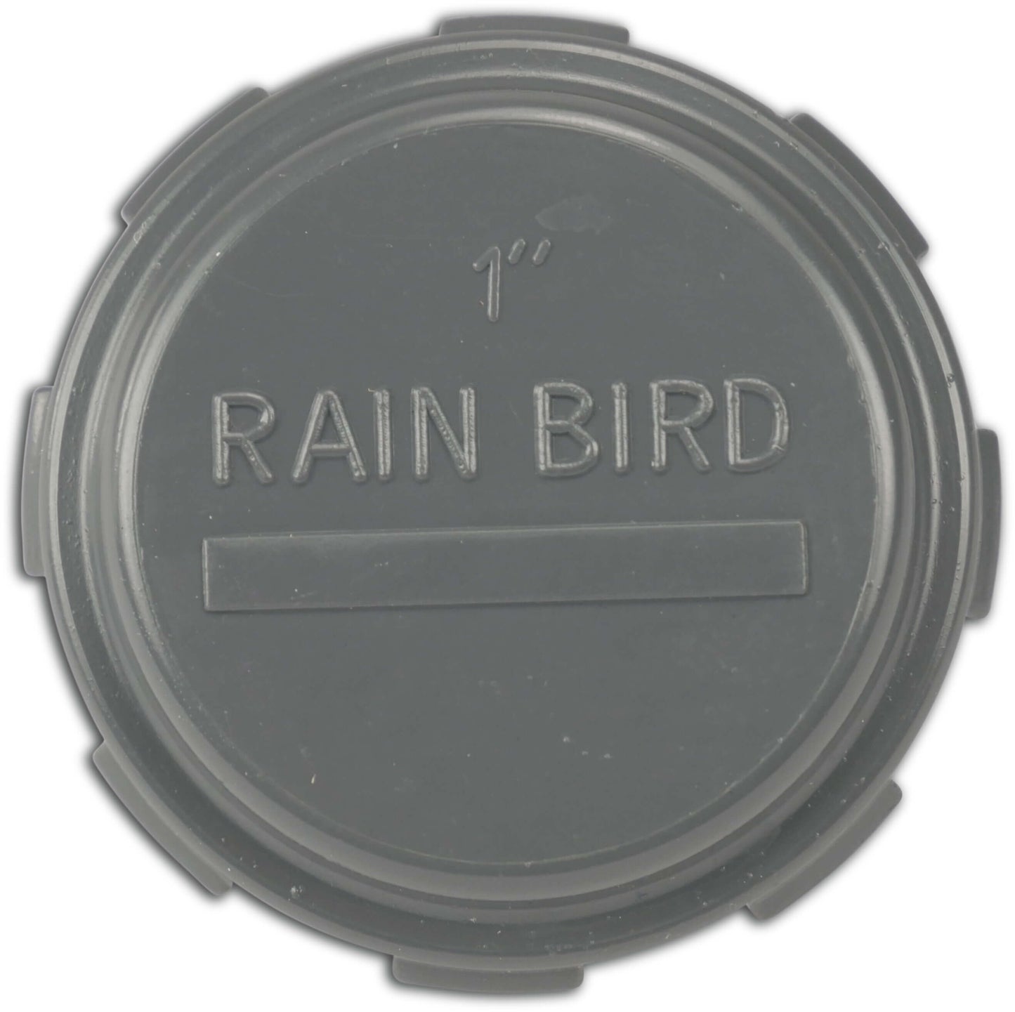 Rain Bird Kappe PVC 1" Innengewinde 10bar Grau (VE: 5 St.)