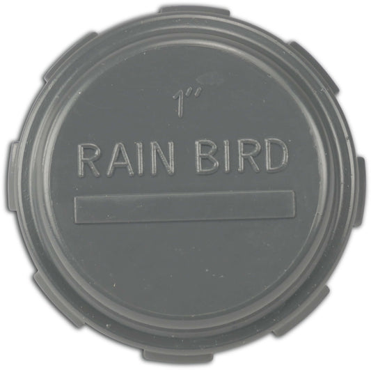 Rain Bird Kappe PVC 1" Innengewinde 10bar Grau (VE: 5 St.)