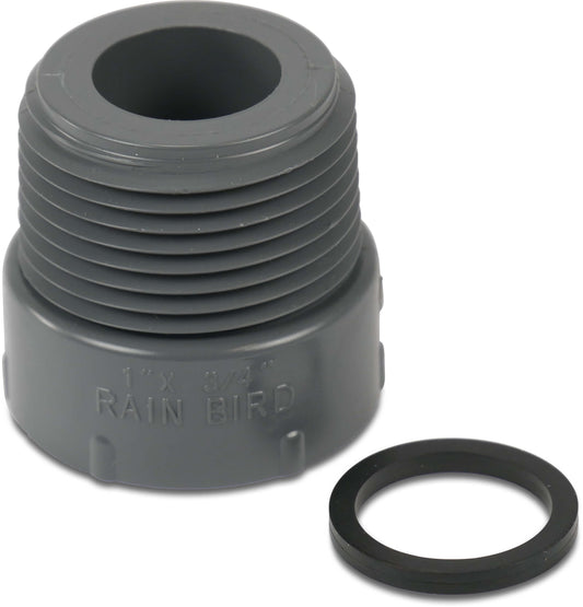 Rain Bird RB1239-131 Verschraubung PVC 1" x 3/4" Außengewinde x Innengewinde 10bar Grau (VE: 5 St.)