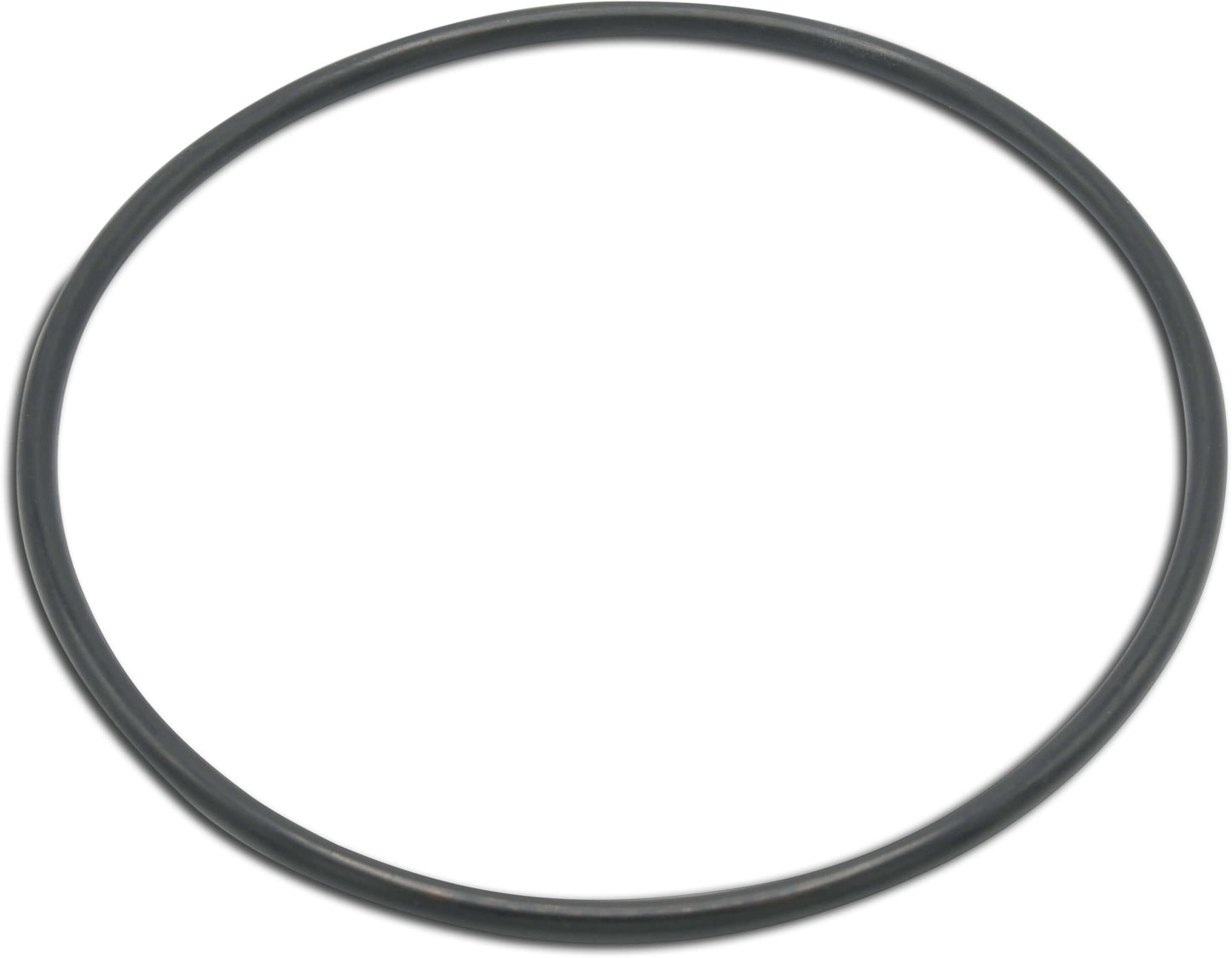 O-Ring Klarsichtdeckel EVO+