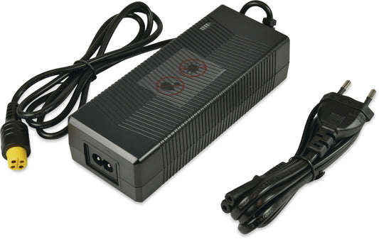 Charger EU version