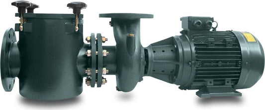 PSH Commercial pool pump Gusseisen DN80 x 3" DIN Flansch x Innengewinde 9,9A 230/400VAC Schwarz