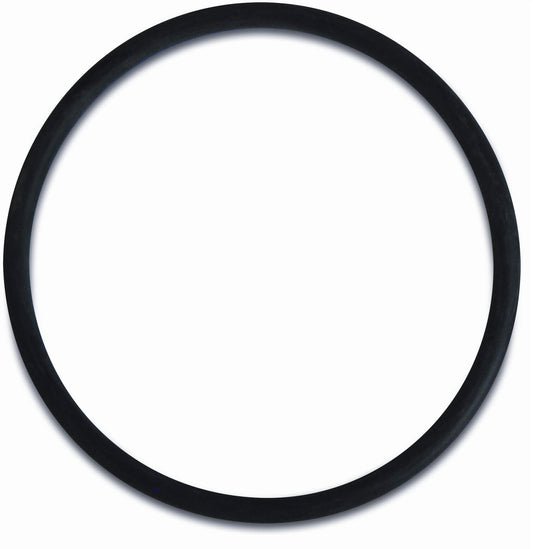 Profec O-ring für Wasserfilter 3/4" - 1" (VE: 10 St.)