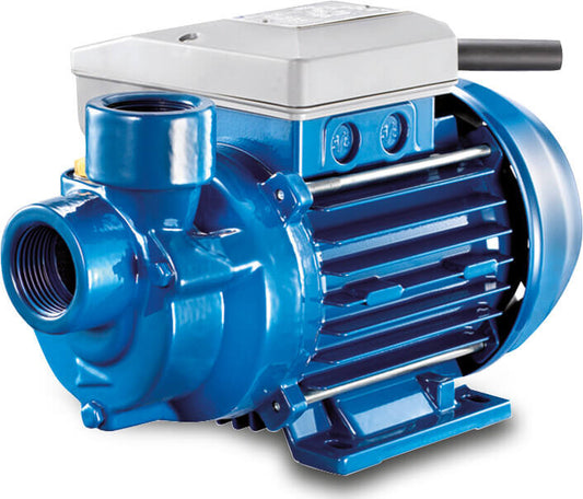 Foras PE50FM Kreiselpumpe Gusseisen 1" Innengewinde 6bar 2,3A 230VAC Blau