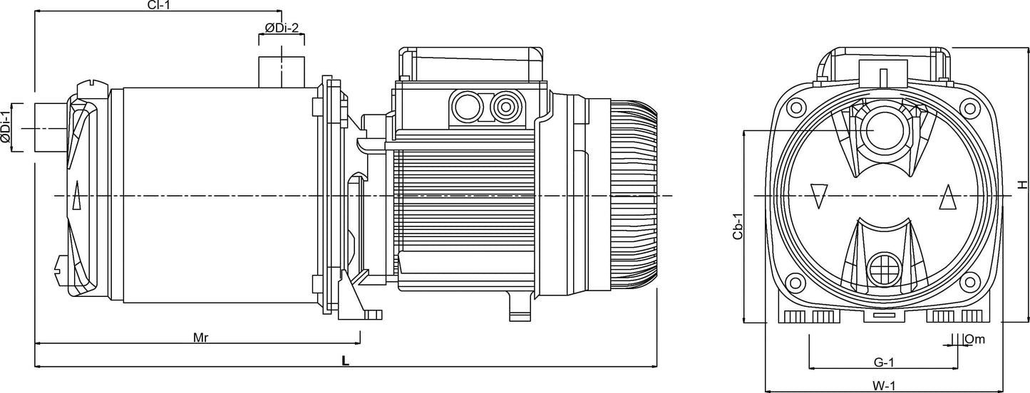 DAB Mehrstufige Kreiselpumpe Edelstahl 304 1" Innengewinde x Außengewinde 6,5A 230VAC Grün Selbstansaugend mit Press-Control